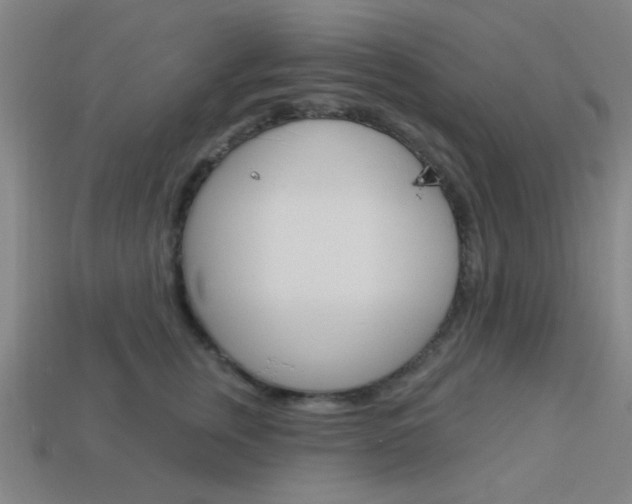 X0000113980759200910020949