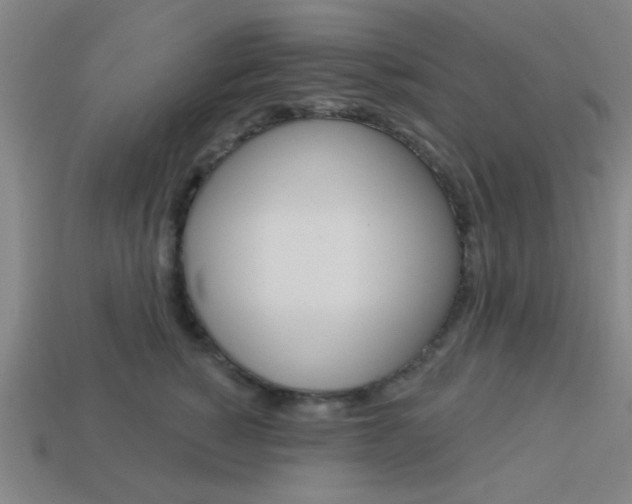 X0000113980760200910020949