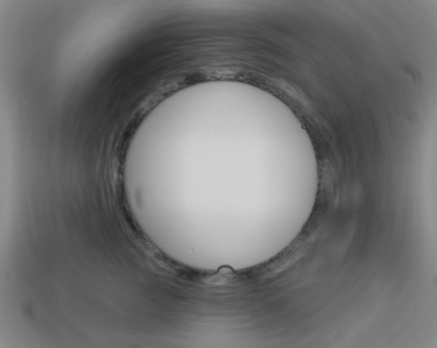 X0000113980761200910020949