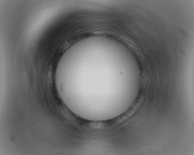 X0000113980762200910020949
