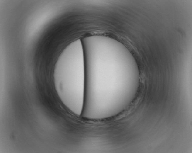 X0000113980763200910020949