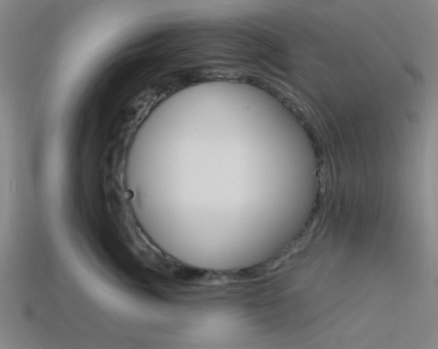 X0000113980764200910020949
