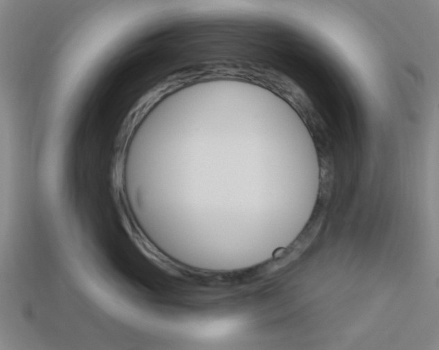 X0000113980765200910020949