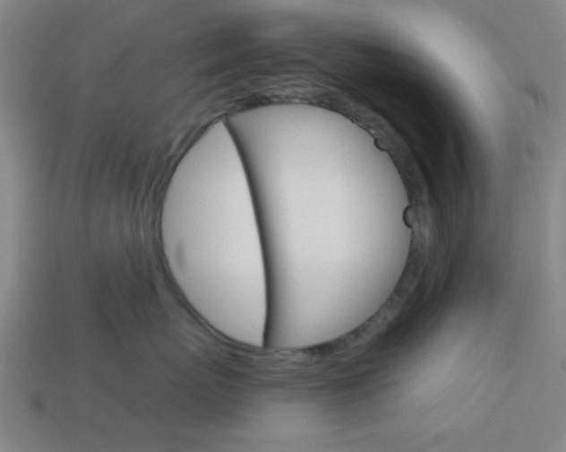 X0000113980767200910020949