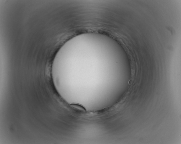 X0000113980768200910020949