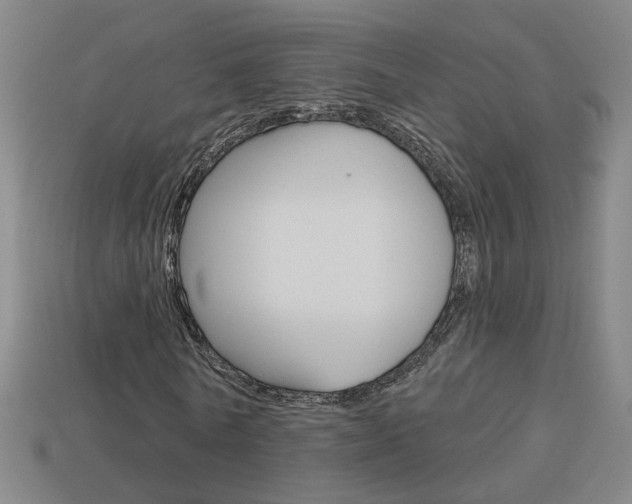 X0000113980770200910020948