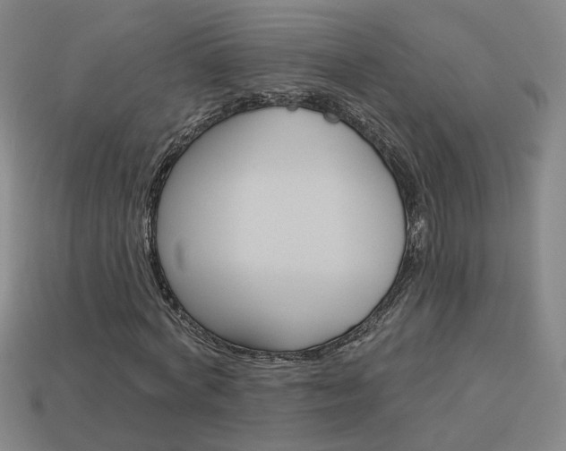 X0000113980772200910020948