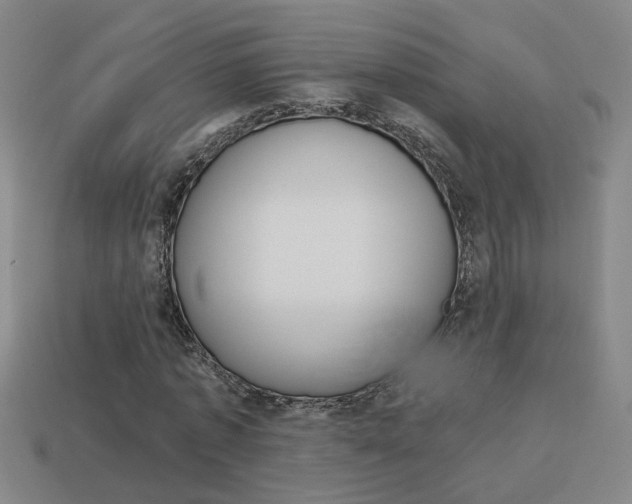 X0000113980773200910020948