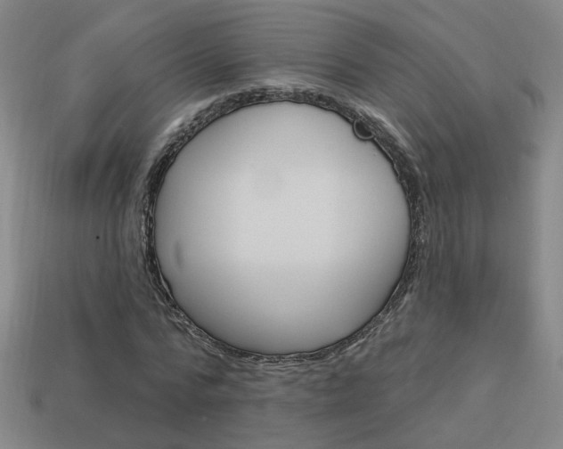X0000113980776200910020948