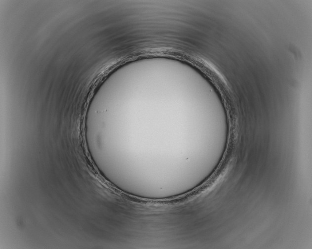 X0000113980777200910020948