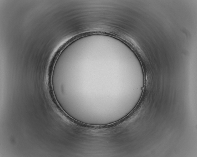 X0000113980780200910020948