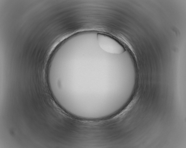 X0000113980781200910020948