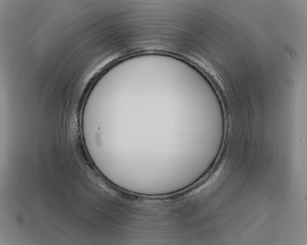 X0000113980782200910020948