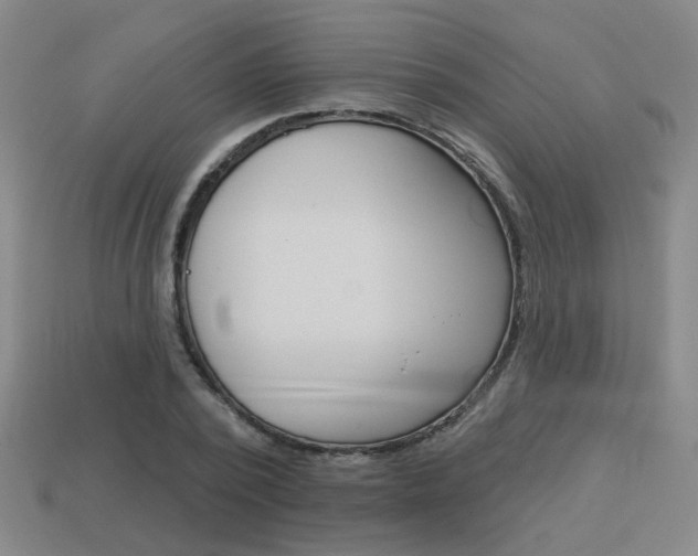 X0000113980784200910020948