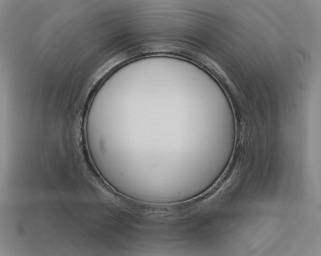 X0000113980786200910020948