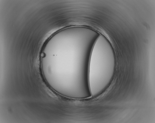 X0000113980787200910020948