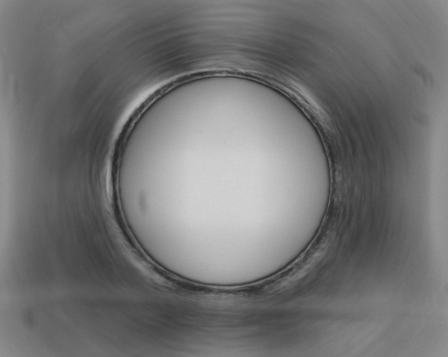 X0000113980788200910020948