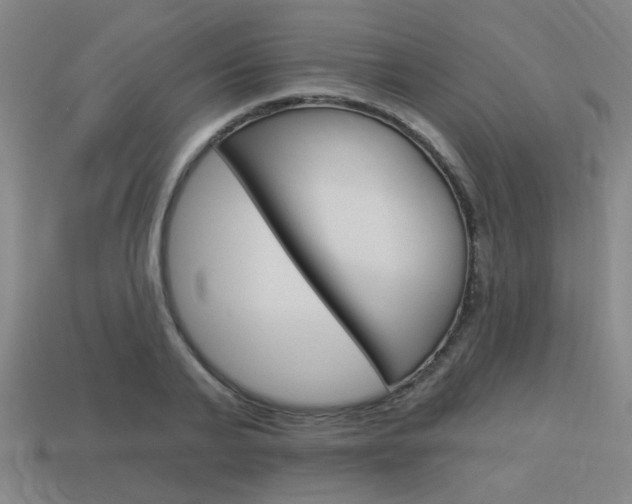 X0000113980791200910020948