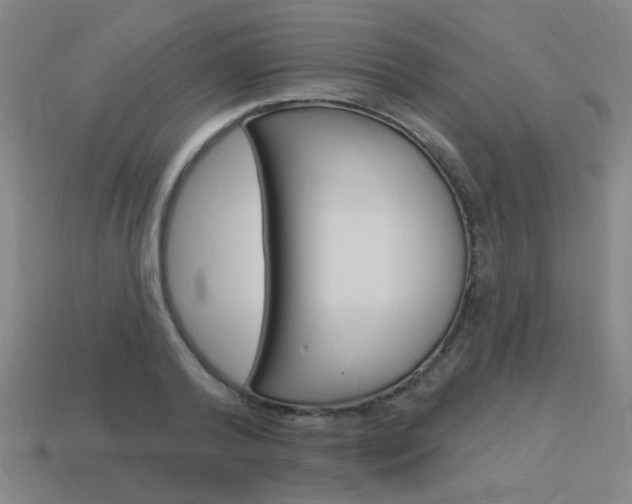 X0000113980792200910020948