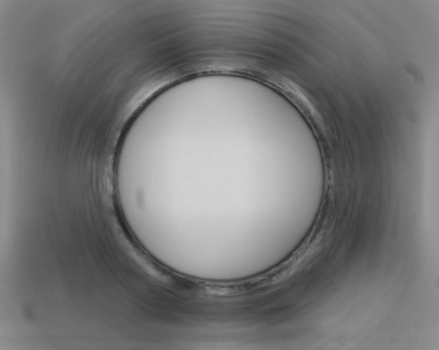 X0000113980794200910020948