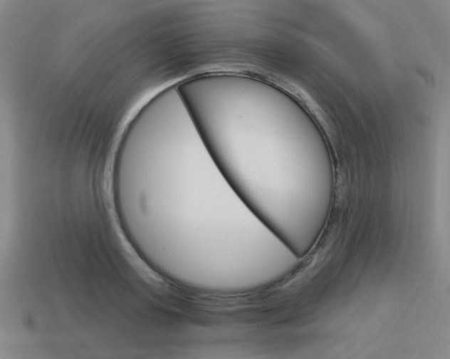 X0000113980795200910020948