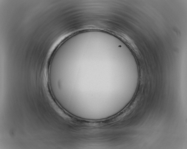 X0000113980796200910020948
