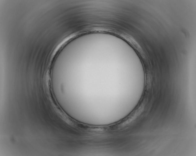 X0000113980798200910020948