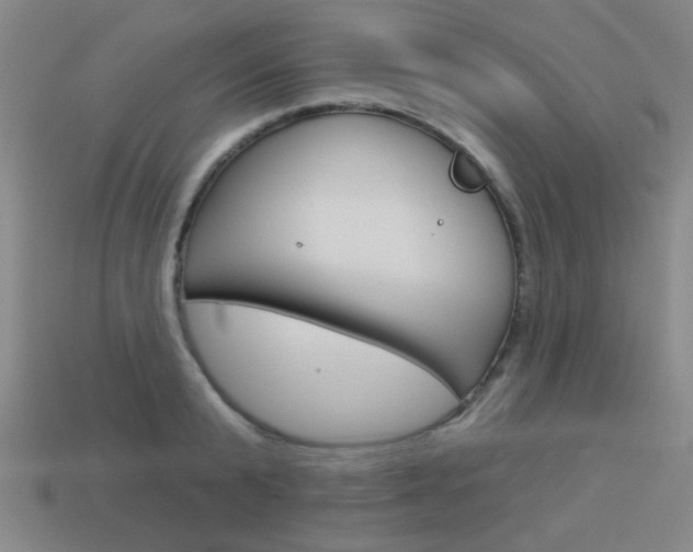 X0000113980799200910020948