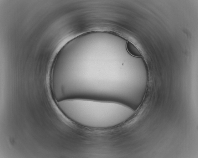X0000113980803200910020948