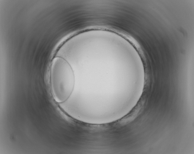 X0000113980807200910020948