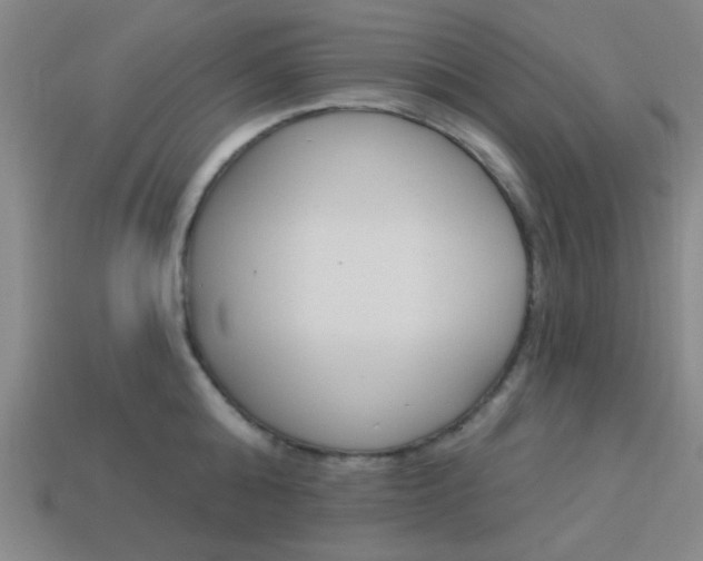 X0000113980808200910020948