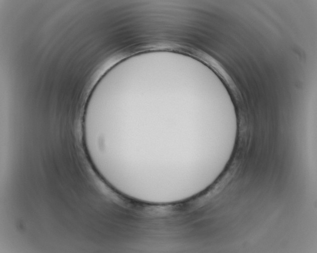 X0000113980810200910020948
