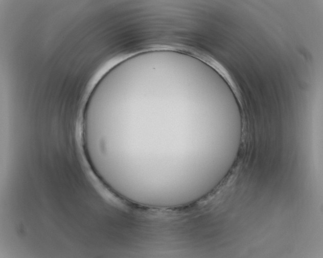X0000113980811200910020948