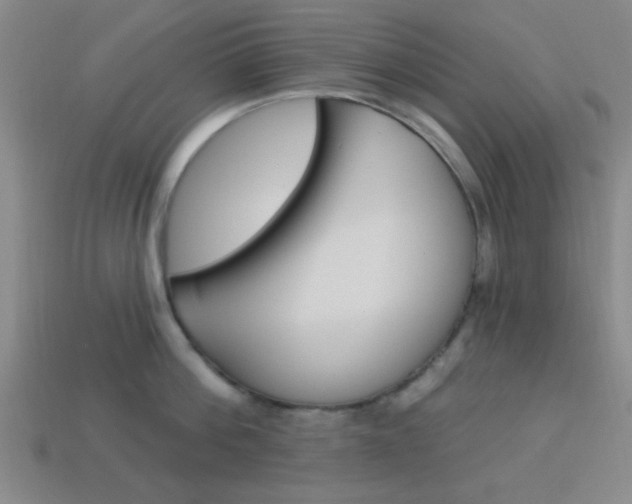 X0000113980812200910020948