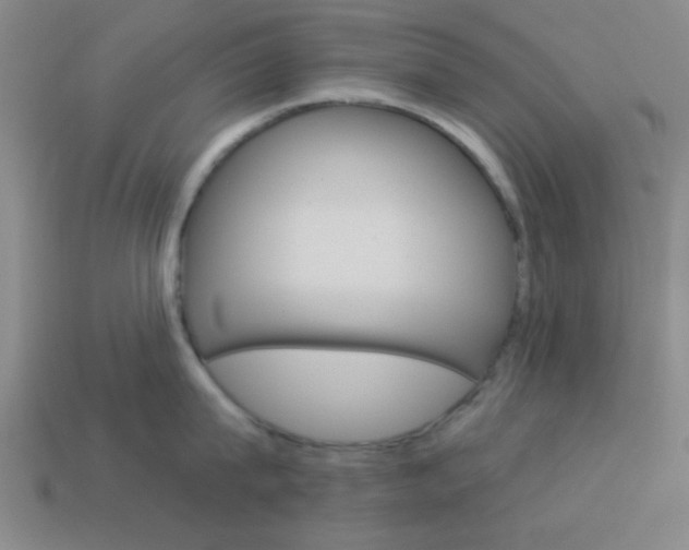X0000113980815200910020948
