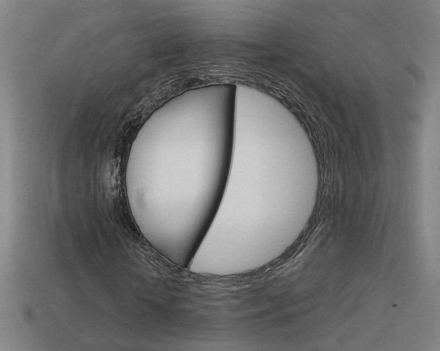 X0000113980818200910020947