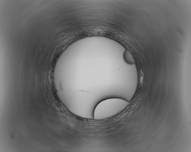 X0000113980819200910020947