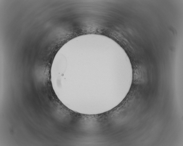 X0000113980820200910020947
