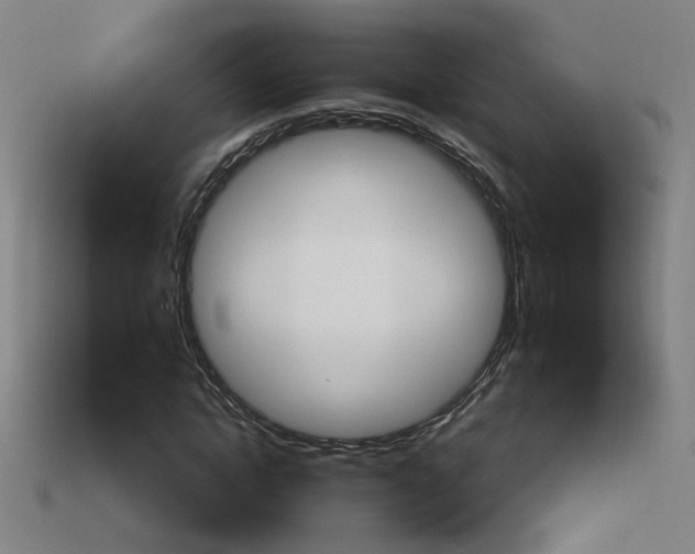X0000113980822200910020947