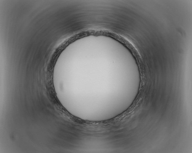X0000113980823200910020947