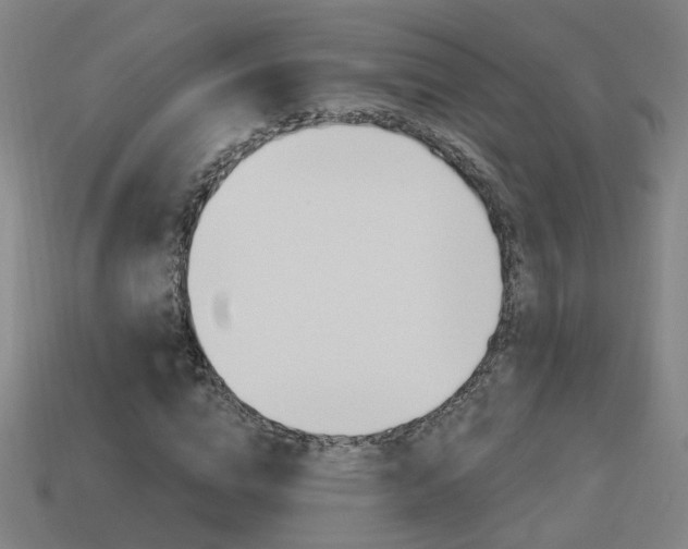 X0000113980824200910020947