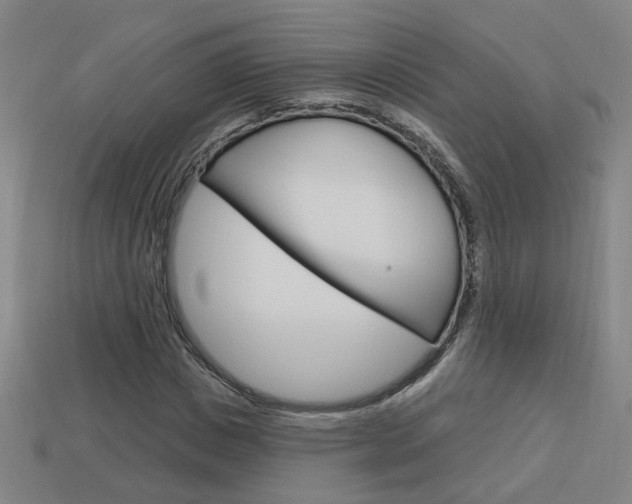 X0000113980825200910020947