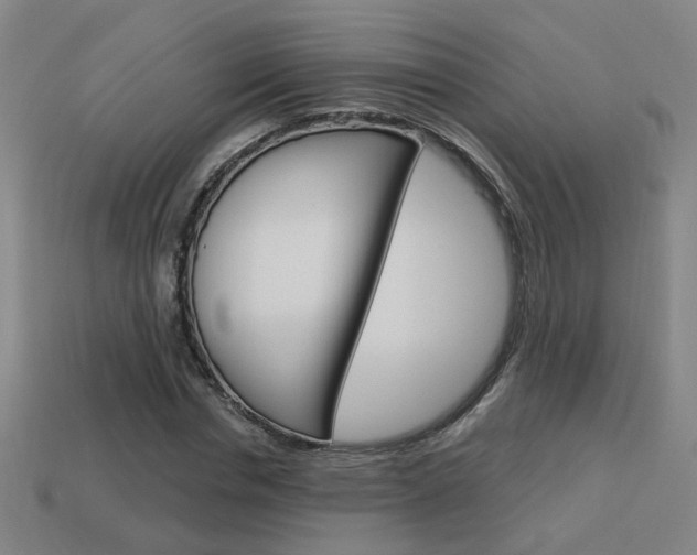 X0000113980826200910020947