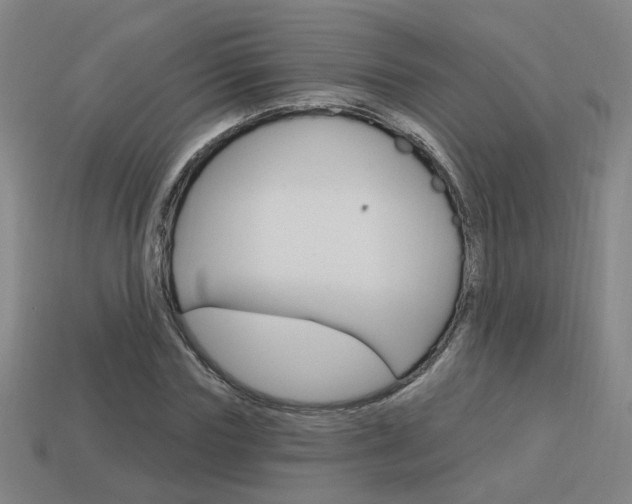 X0000113980827200910020947