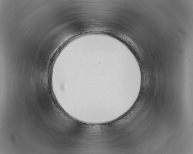 X0000113980828200910020947