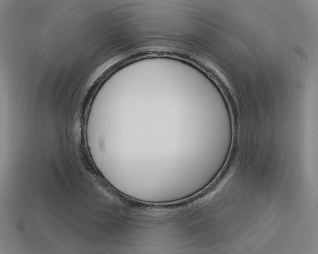 X0000113980829200910020947