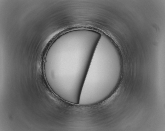 X0000113980830200910020947