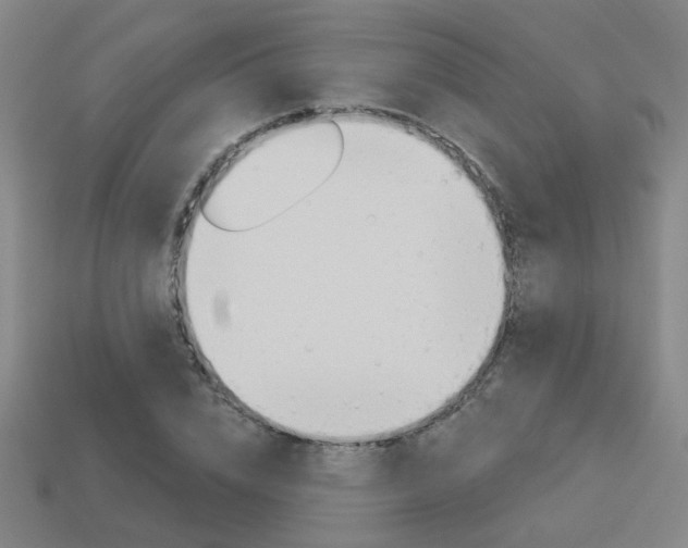 X0000113980832200910020947
