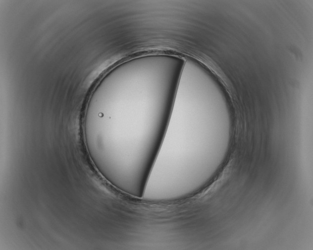X0000113980834200910020947