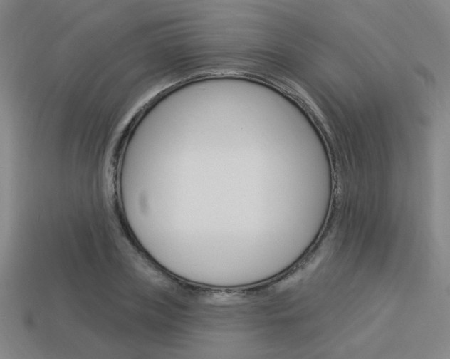 X0000113980835200910020947